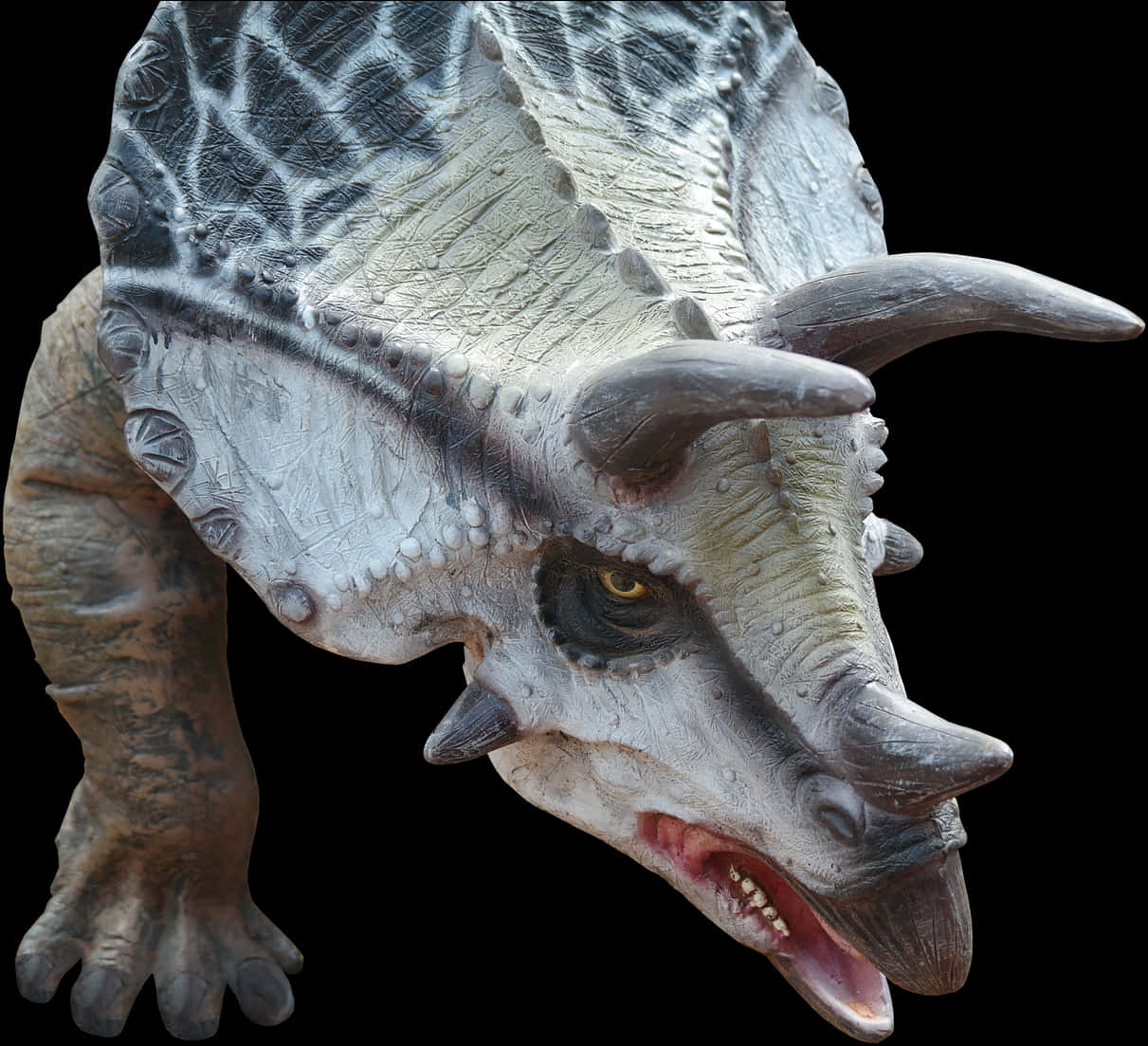 Realistic Triceratops Model PNG image
