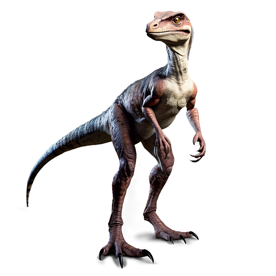 Realistic Velociraptor Design Png 06202024 PNG image