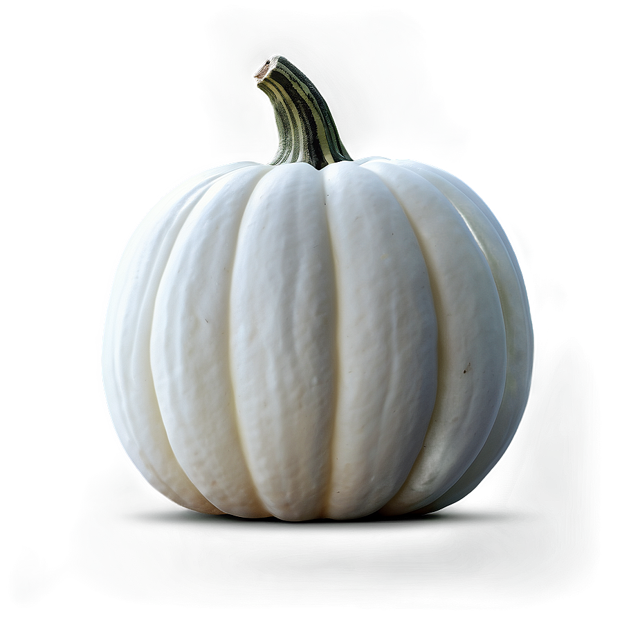 Realistic White Pumpkin Png Mfs53 PNG image