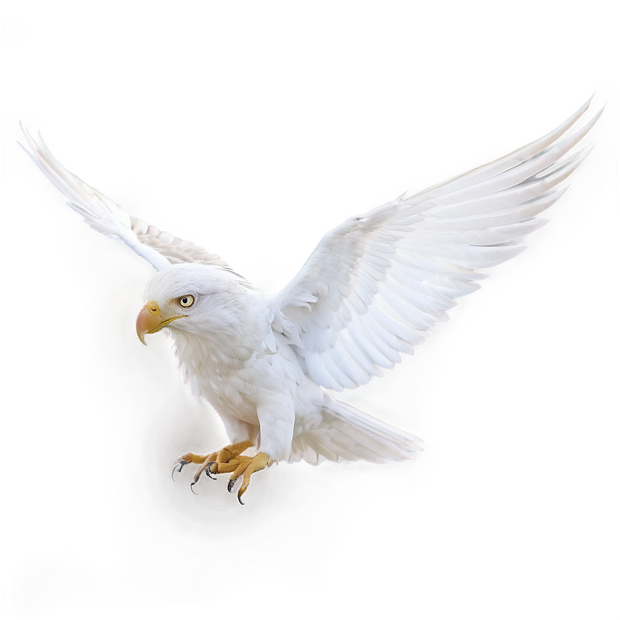 Realistic White Wings Png 99 PNG image