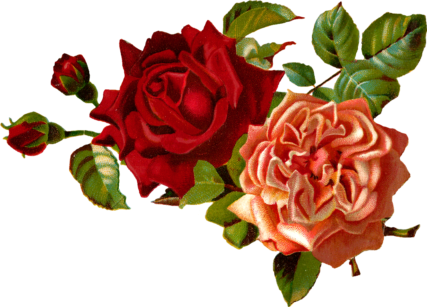 Red_and_ Peach_ Roses_ Arrangement.png PNG image