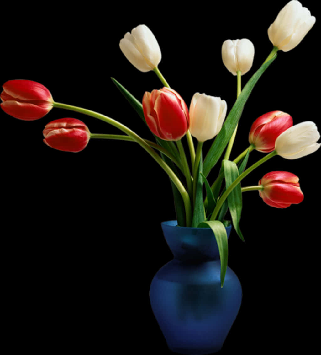 Red_and_ White_ Tulips_in_ Blue_ Vase PNG image