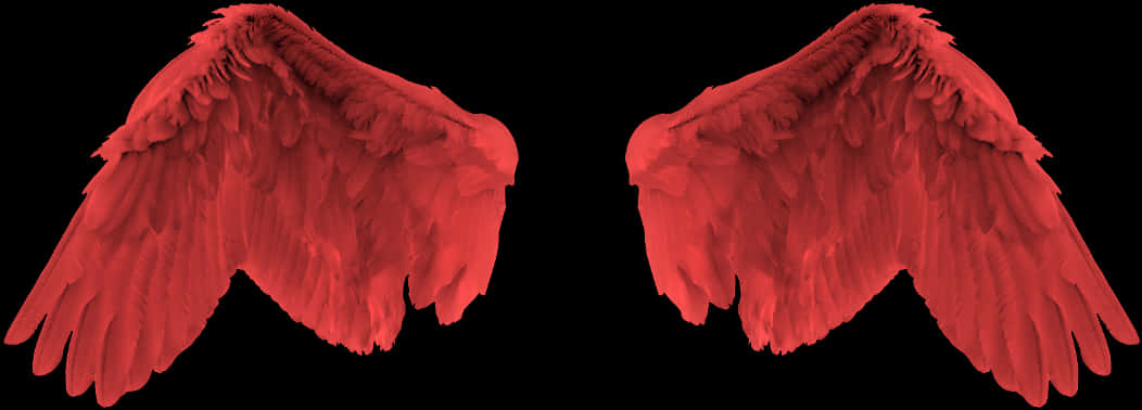 Red Angel Wings Graphic PNG image