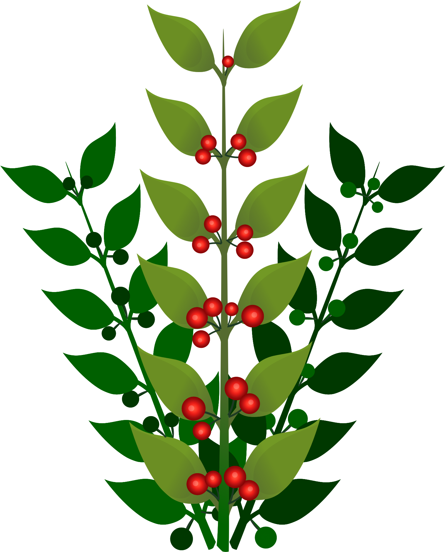 Red Berries Green Leaves Illustration PNG image