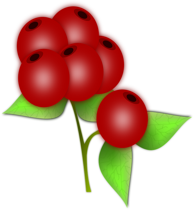 Red Berries Illustration PNG image