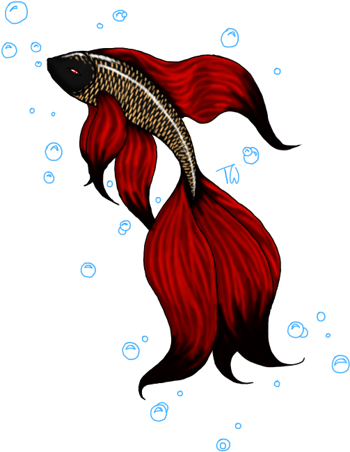 Red Betta Fish Artwork PNG image