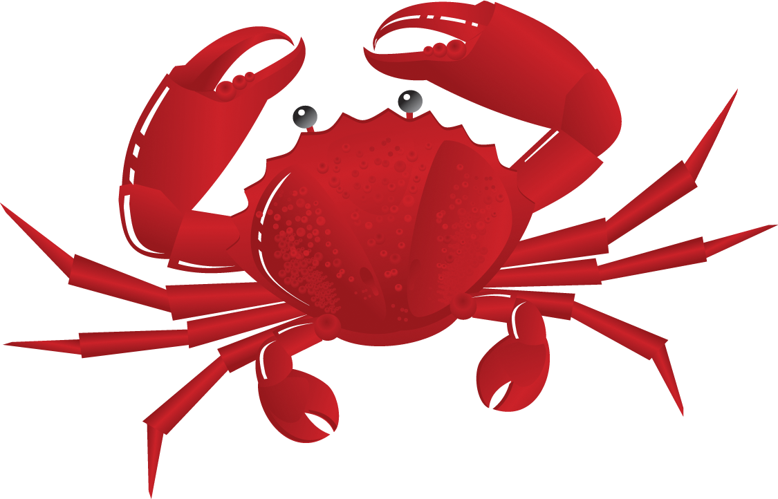 Red Cartoon Crab Illustration PNG image