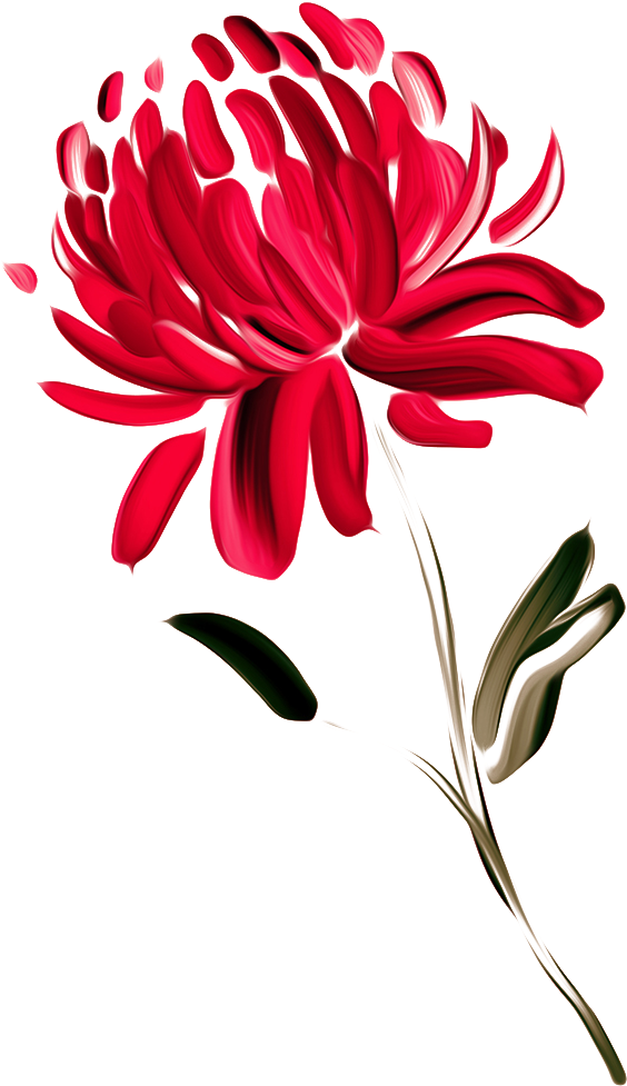 Red Chrysanthemum Artistic Representation PNG image