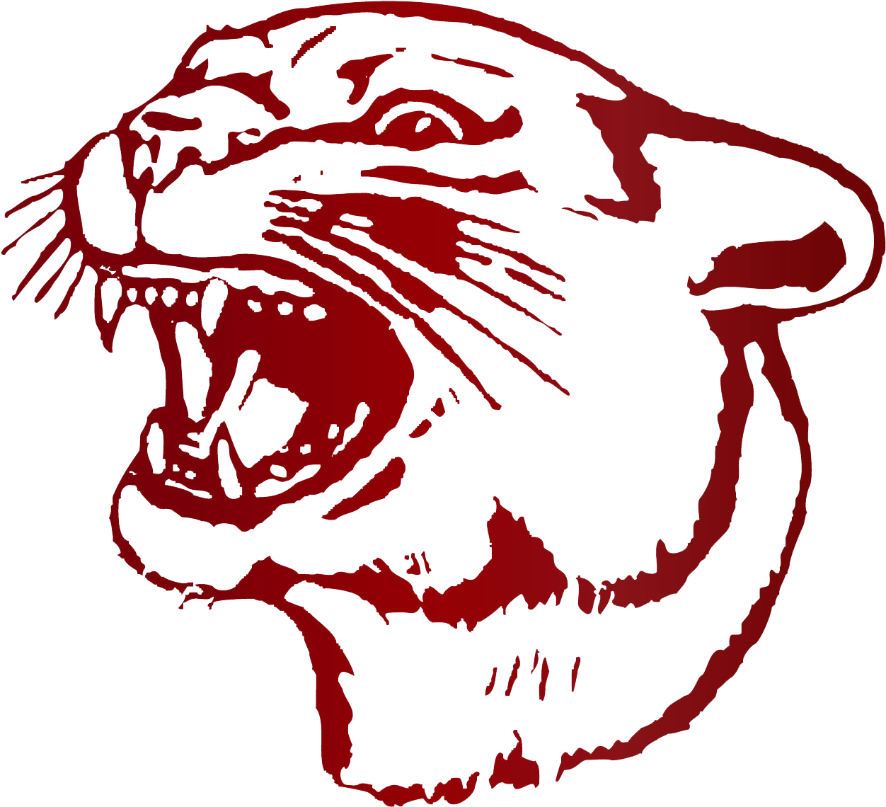 Red Cougar Graphic Art PNG image