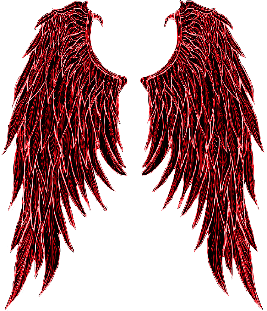 Red Demon Wings Illustration PNG image