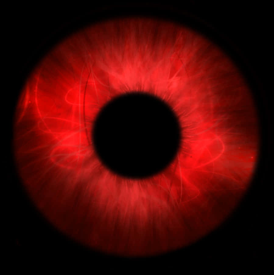 Red Eye Closeup Photography PNG image