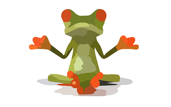 Red Eyed Tree Frog Illustration PNG image