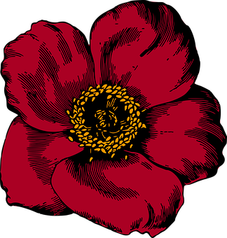 Red Floral Graphic Art PNG image