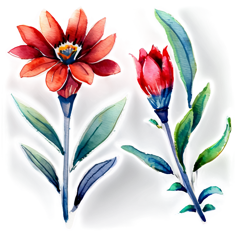 Red Flowers Watercolor Png 06122024 PNG image