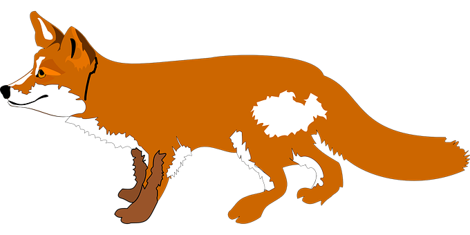 Red Fox Vector Illustration PNG image