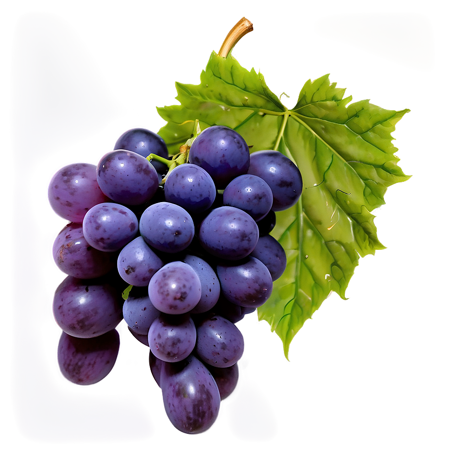 Red Globe Grape Png Dck PNG image