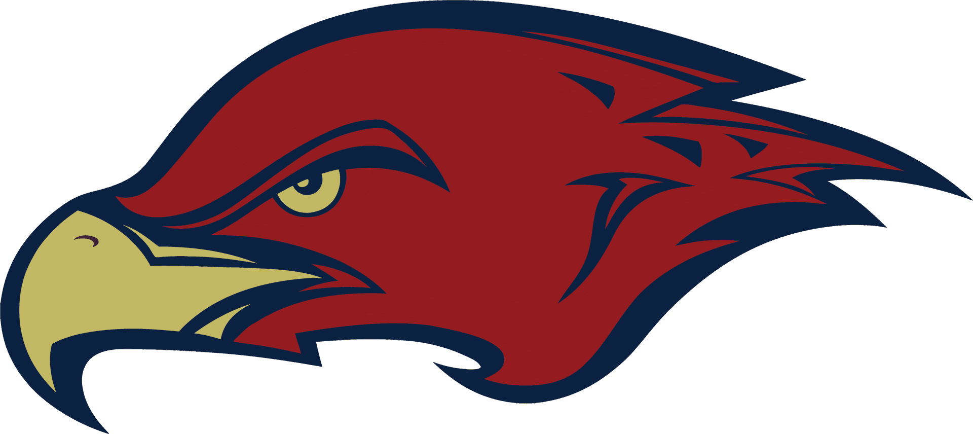 Red Hawk Head Graphic PNG image