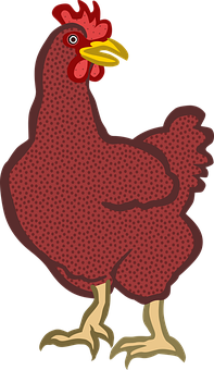 Red Hen Illustration PNG image