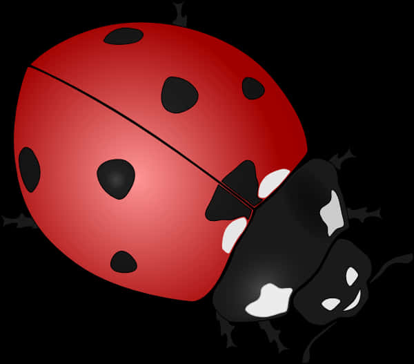 Red Ladybug Illustration PNG image