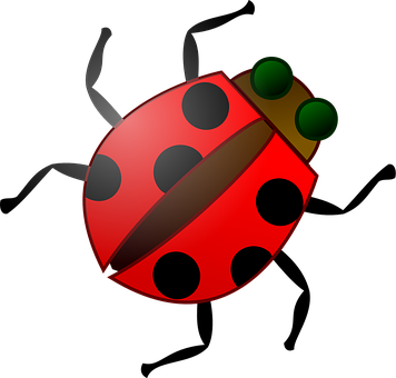 Red Ladybug Illustration PNG image