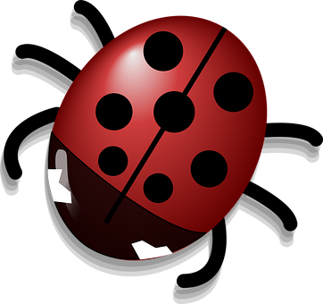 Red Ladybug Illustration PNG image