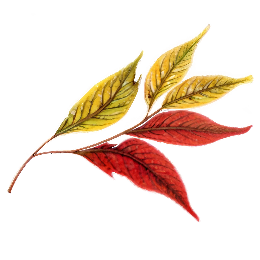 Red Leaf Png 05032024 PNG image