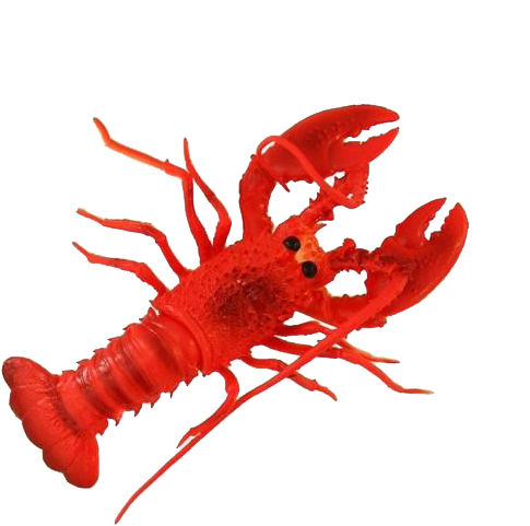 Red Lobster Illustration PNG image