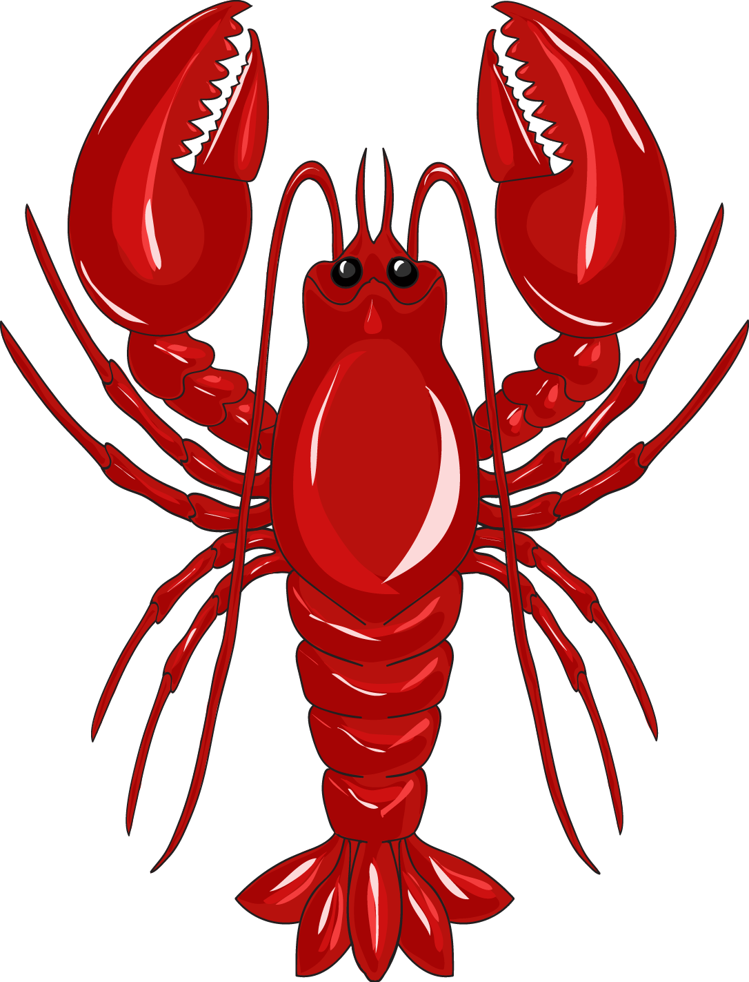 Red Lobster Illustration.png PNG image