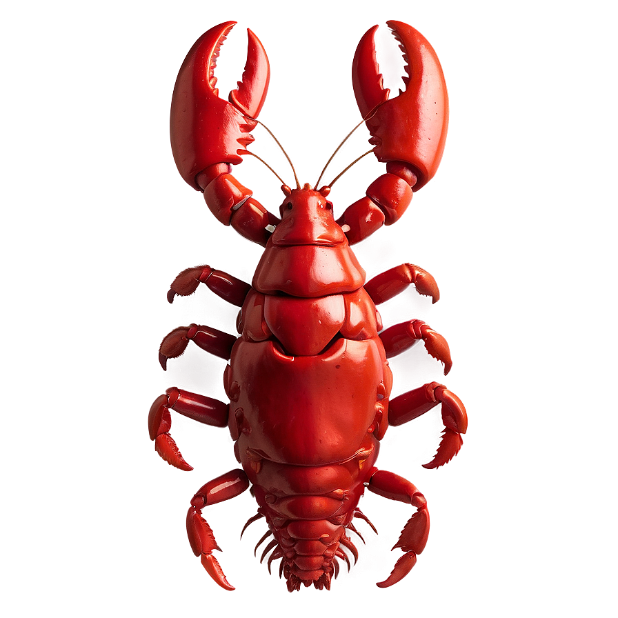 Red Lobster Outline Png 06242024 PNG image