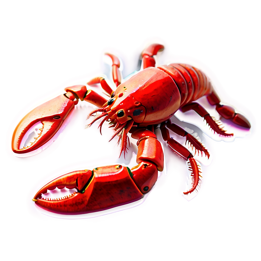 Red Lobster Outline Png Crk PNG image