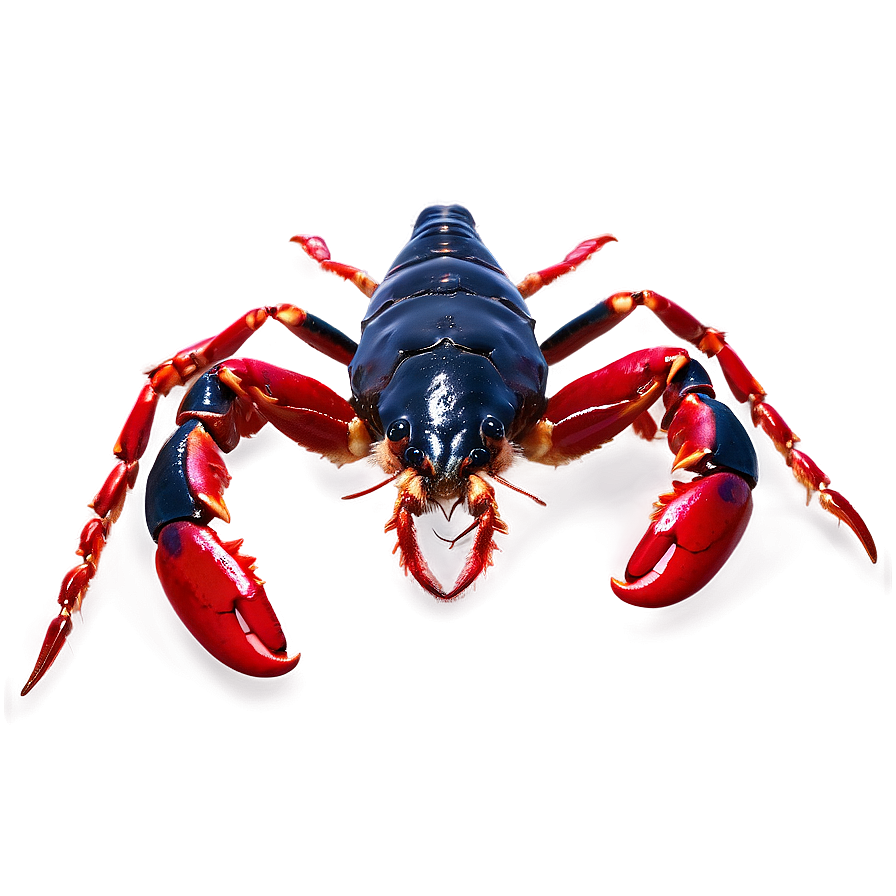 Red Lobster With Claws Png 06242024 PNG image