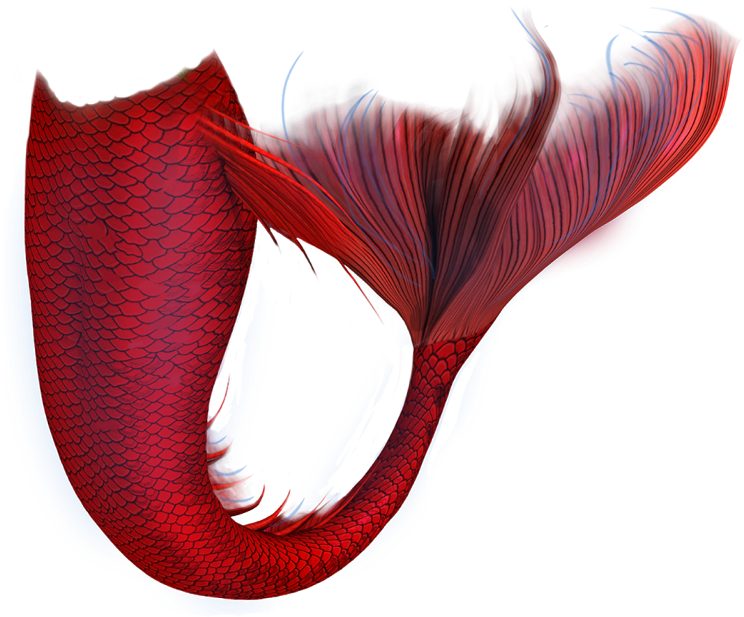 Red Mermaid Tail Artwork.png PNG image