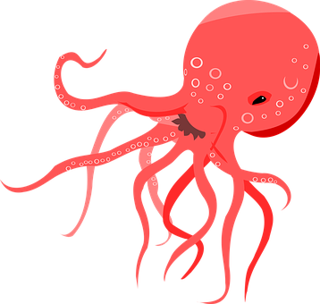 Red Octopus Illustration PNG image