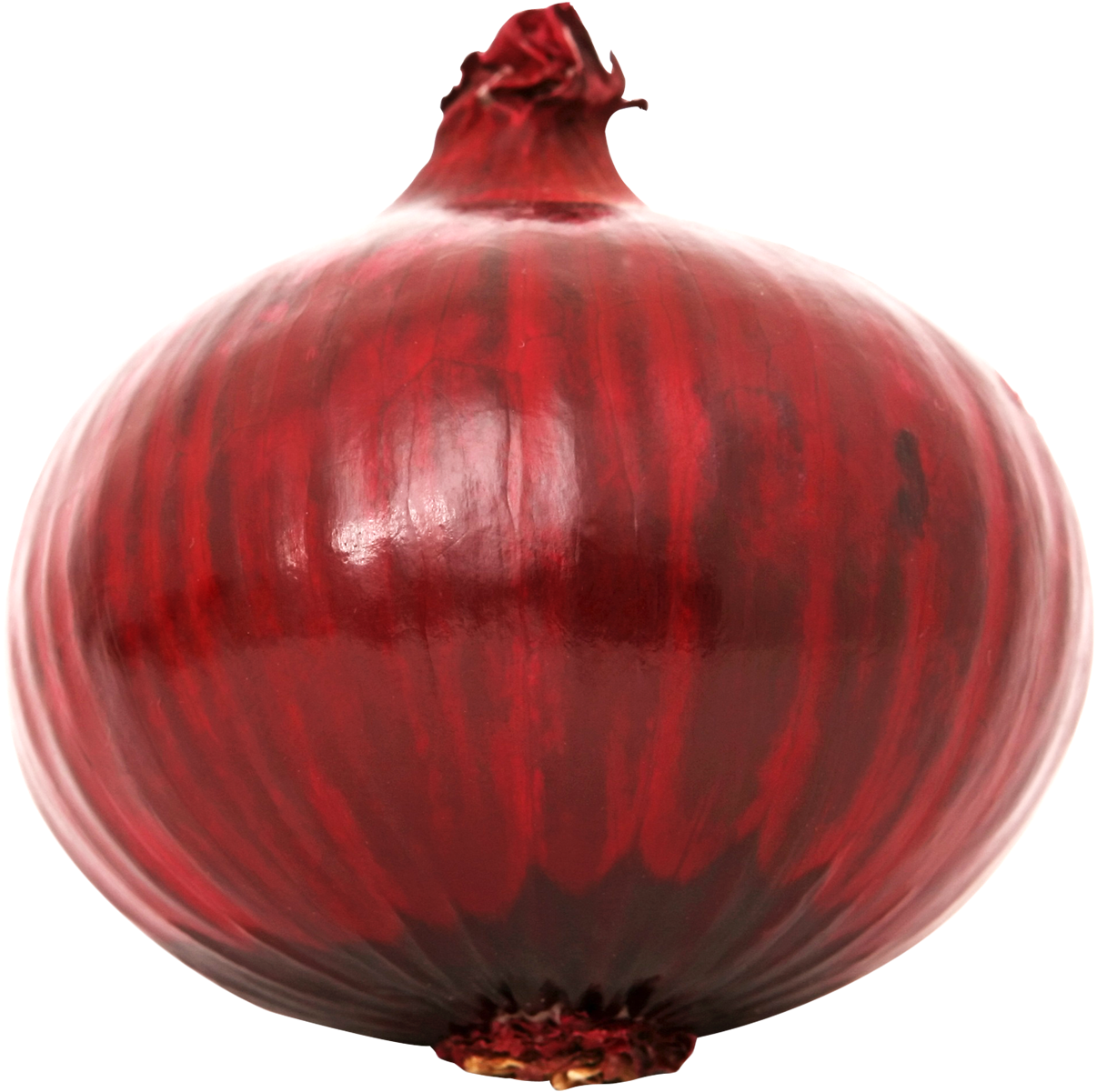 Red Onion Single Isolated PNG image