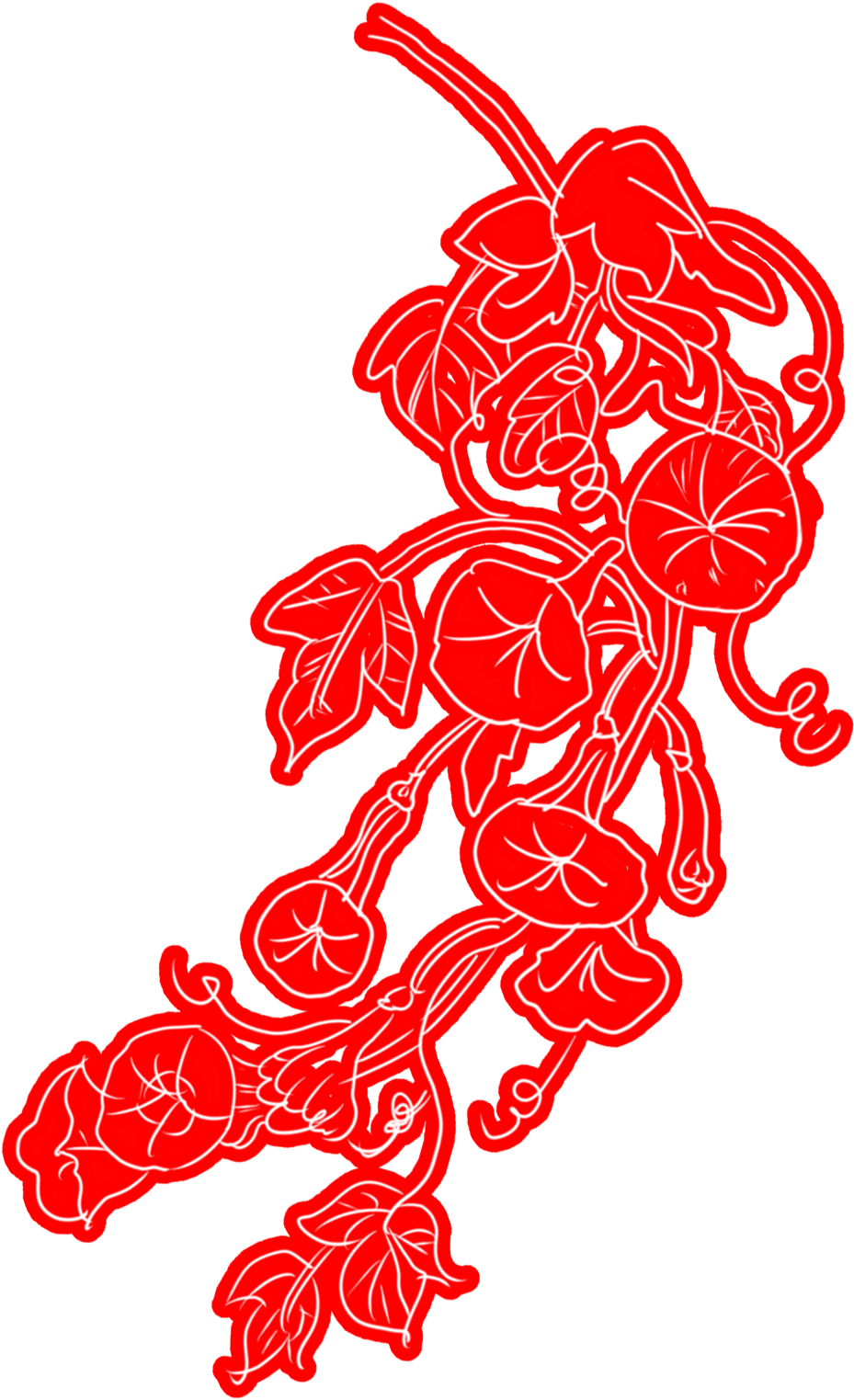 Red Outlined Morning Gloryon Blue PNG image
