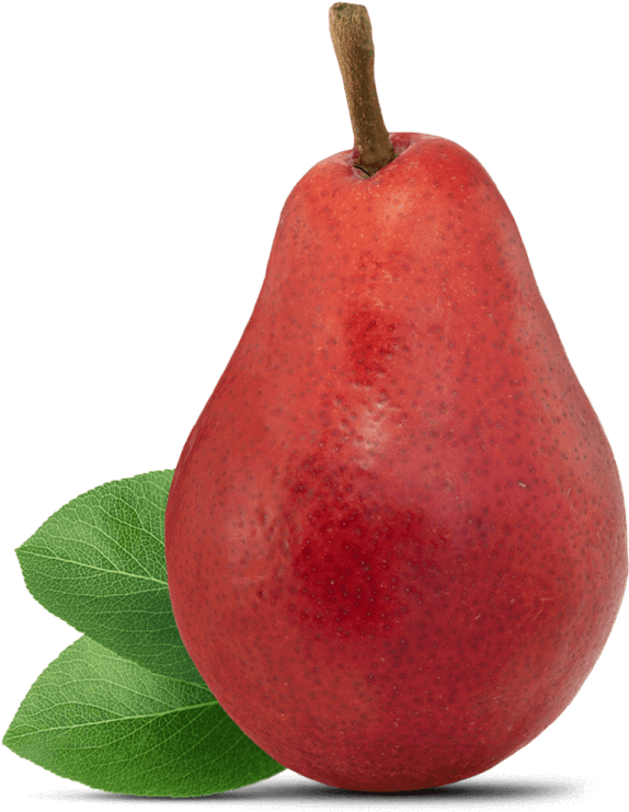 Red Pearwith Leaf PNG image