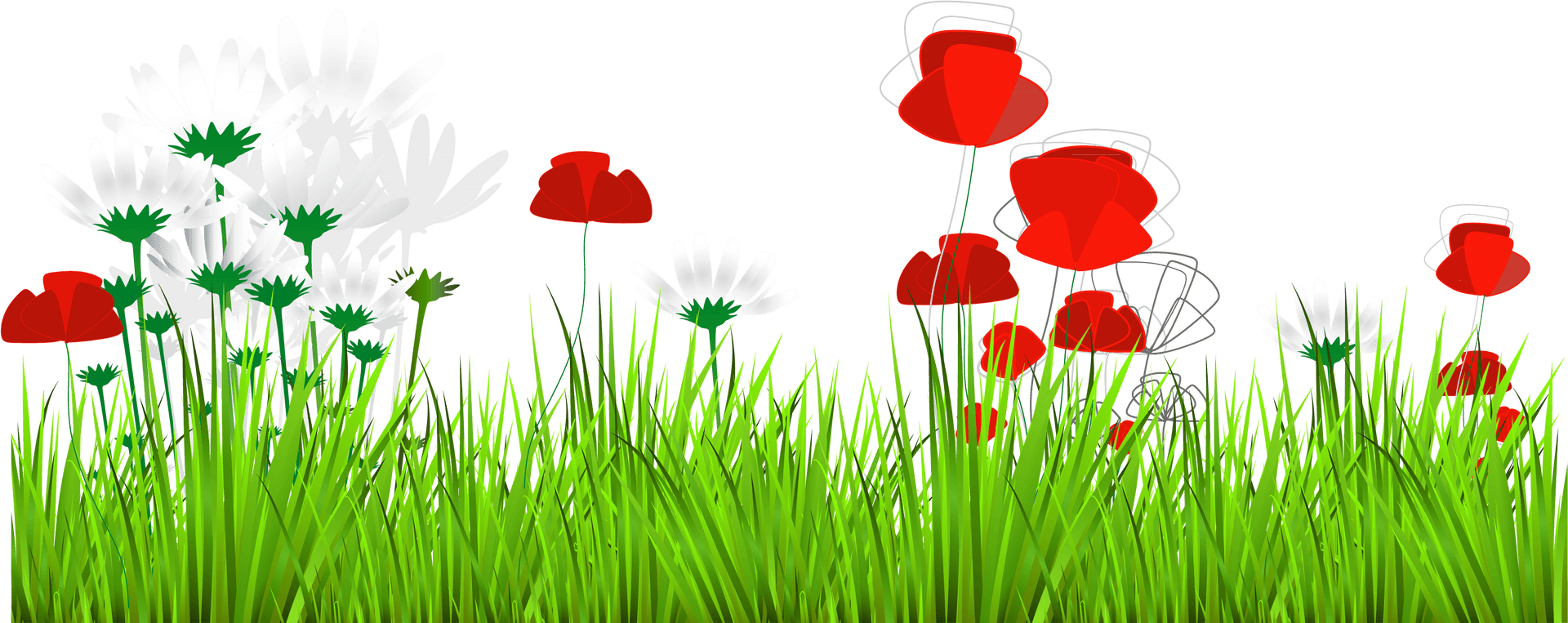 Red Poppiesand White Daisiesin Grass PNG image