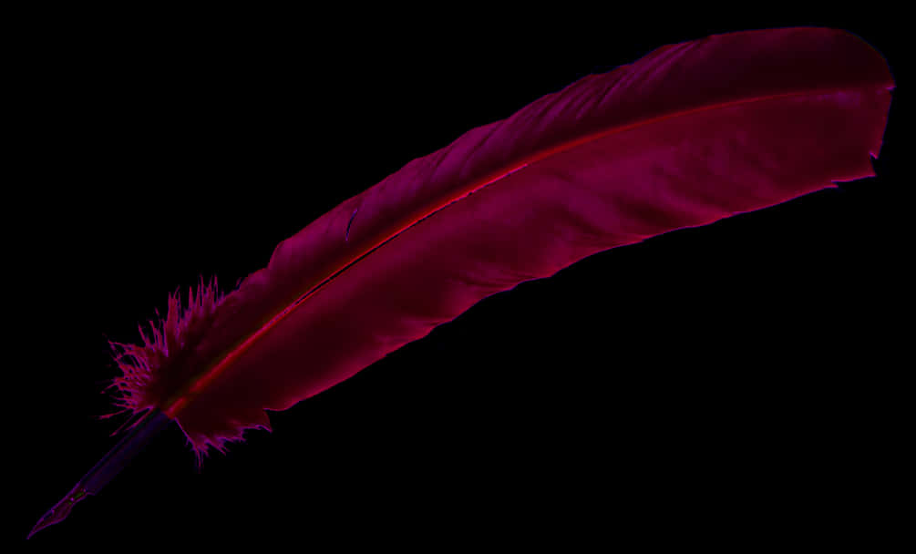 Red Quill Pen Black Background PNG image