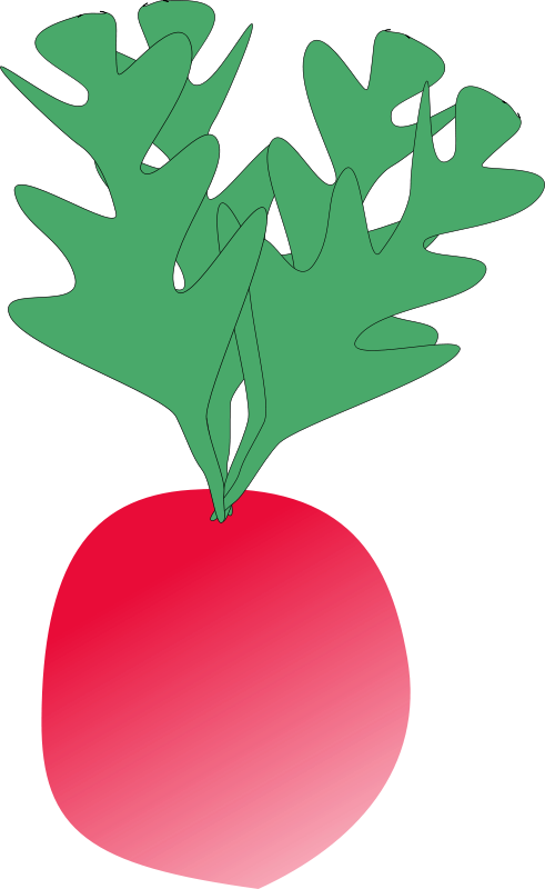 Red Radish Cartoon Illustration PNG image