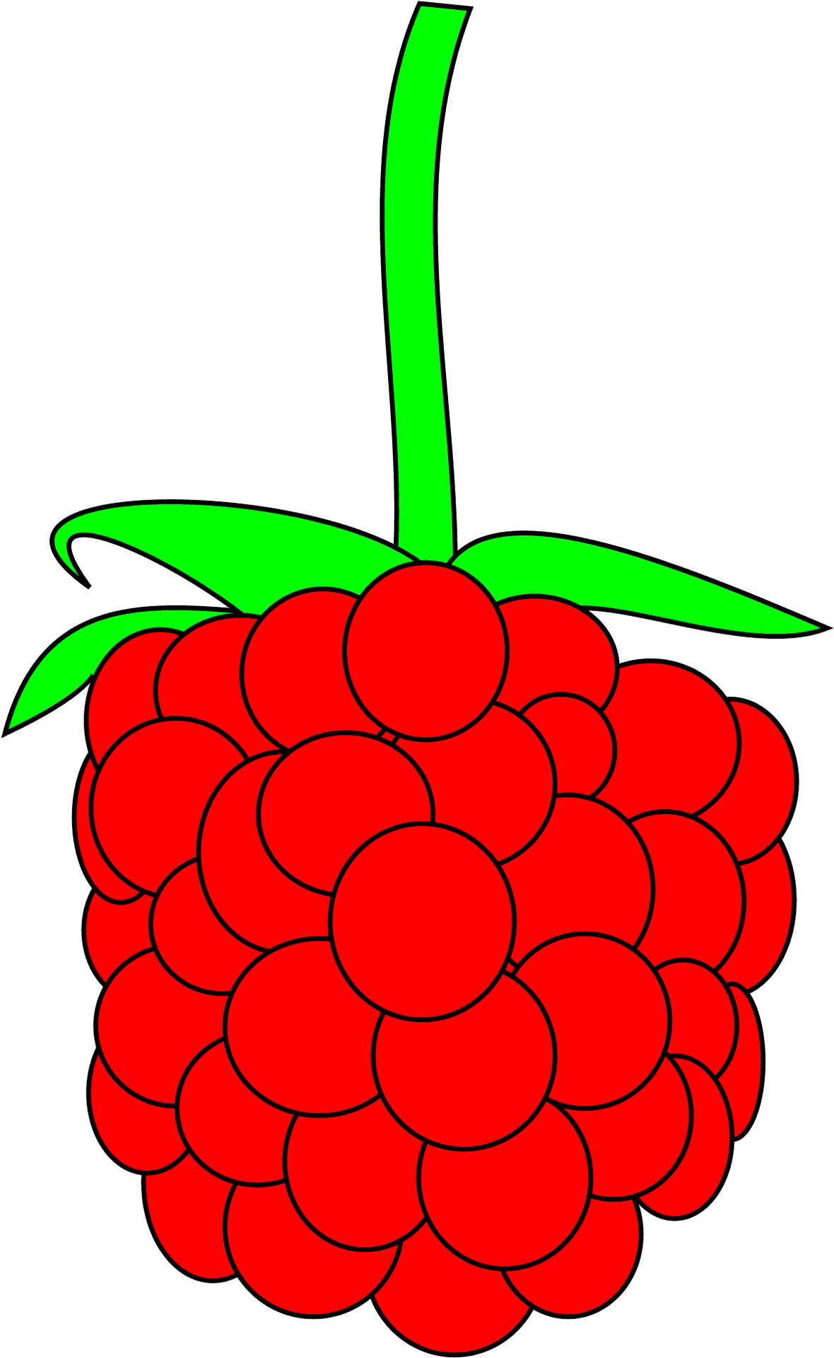 Red Raspberry Vector Illustration PNG image