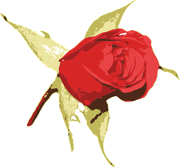 Red Rose Artistic Vector Illustration PNG image