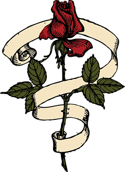 Red Rose Black Background Illustration PNG image