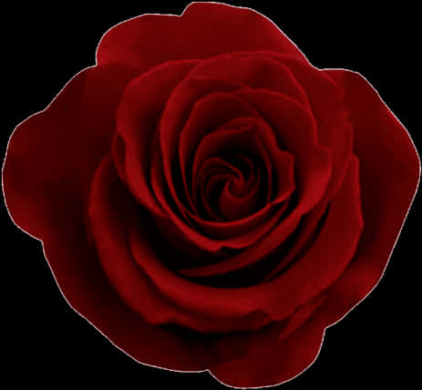 Red Rose Black Background PNG image