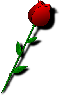 Red Rose Black Background PNG image