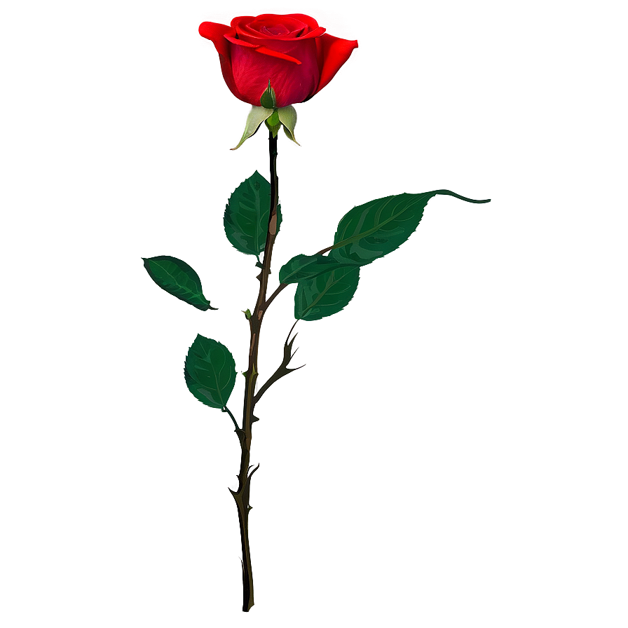 Red Rose Blossom Png 05242024 PNG image