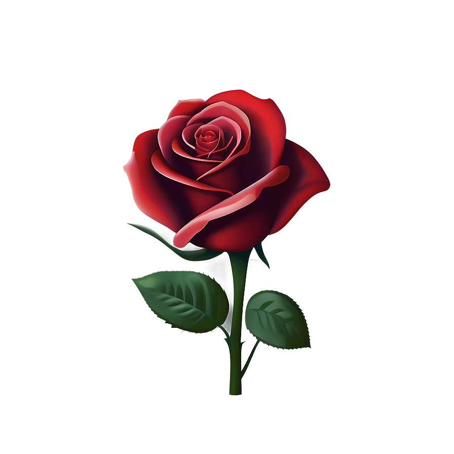 Red Rose Fade Png Fgd PNG image