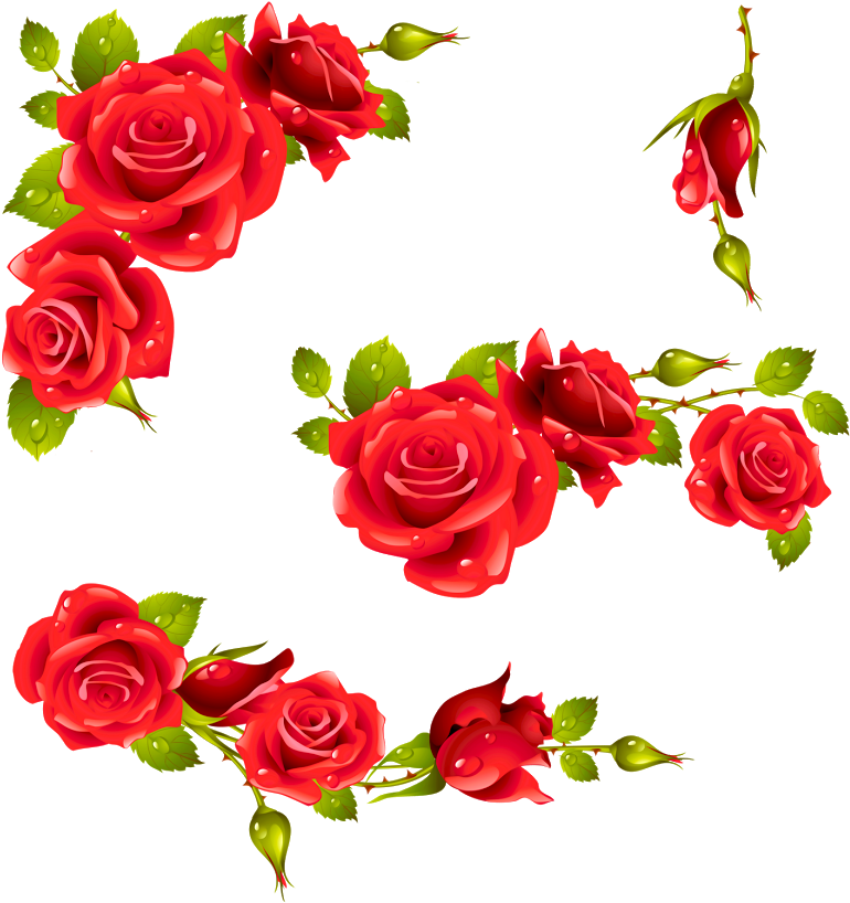 Red Rose Floral Design Element PNG image