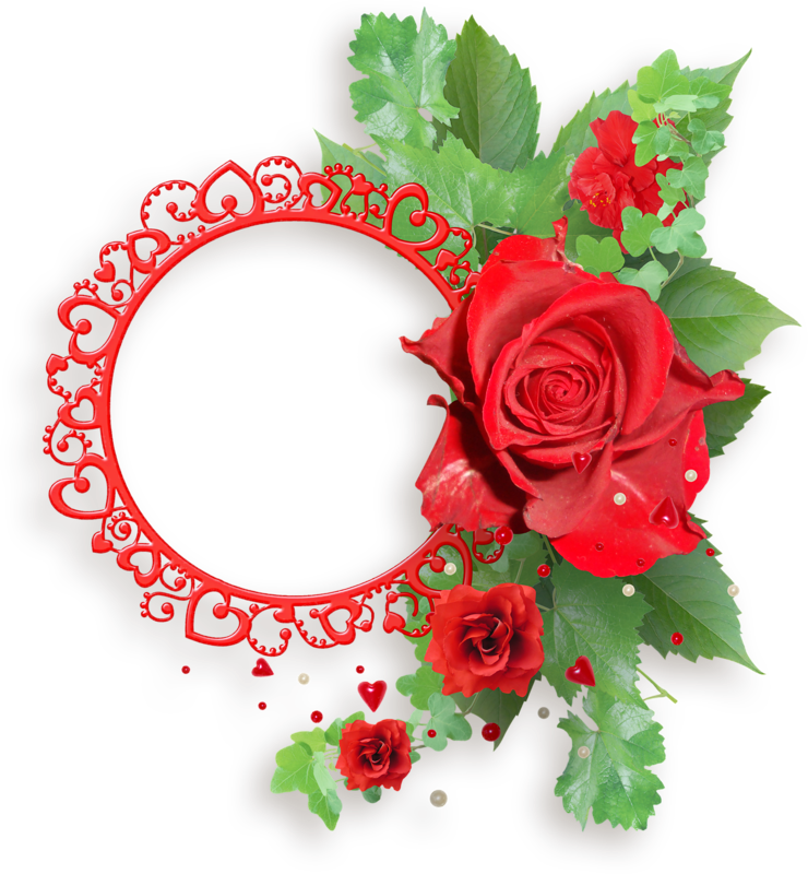 Red Rose Love Frame P N G PNG image
