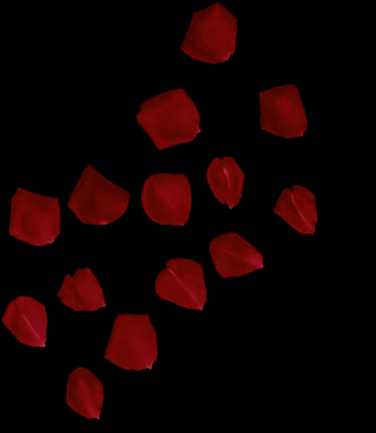 Red Rose Petals Black Background PNG image
