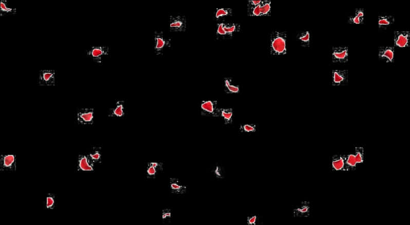 Red Rose Petals Fallingon Black Background PNG image